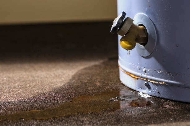 Best Fire Damage Restoration  in Mona, UT