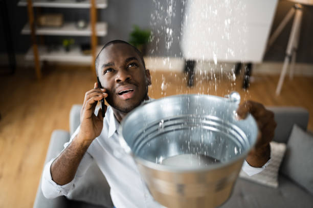Best 24-hour water damage restoration  in Mona, UT