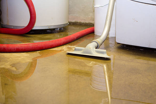 Best Commercial water damage restoration  in Mona, UT