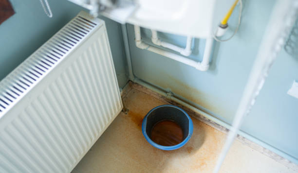 Best Water damage restoration insurance claims  in Mona, UT
