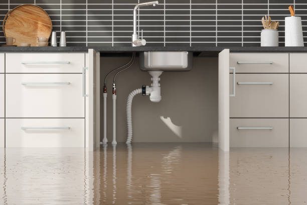 Best Flood restoration services  in Mona, UT