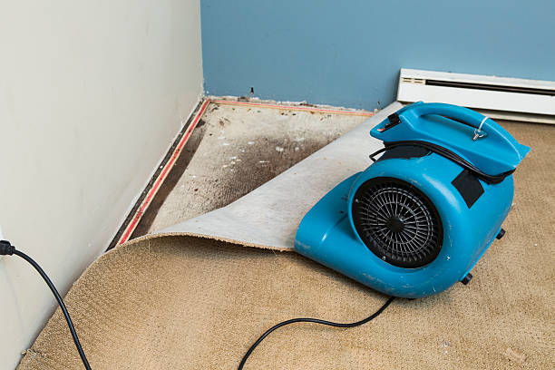Best Water damage restoration near me  in Mona, UT